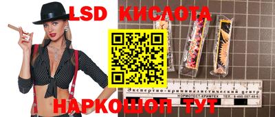 герыч Кингисепп