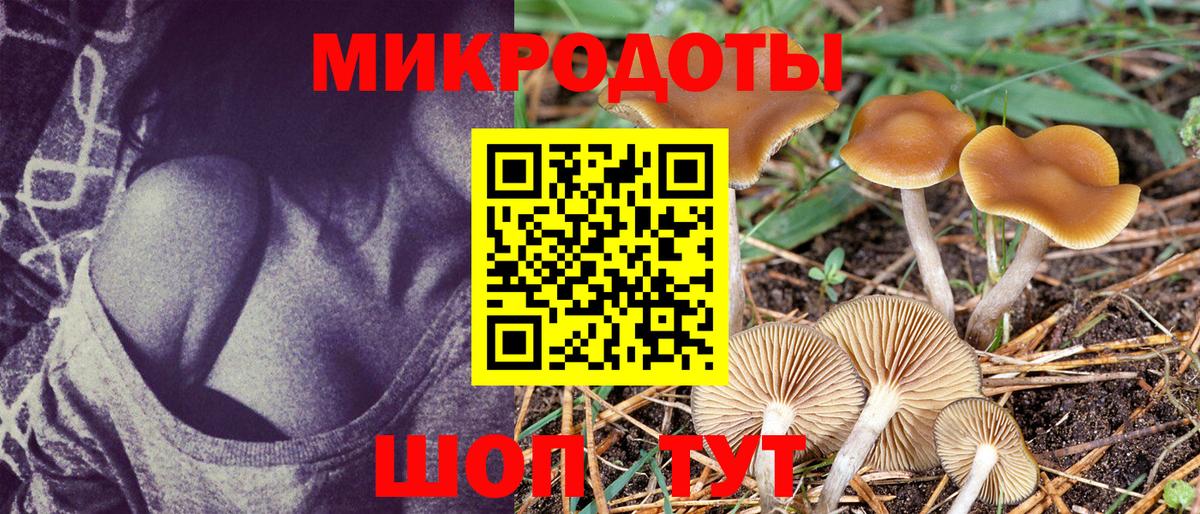 Псилоцибиновые грибы Magic Shrooms Красногорск