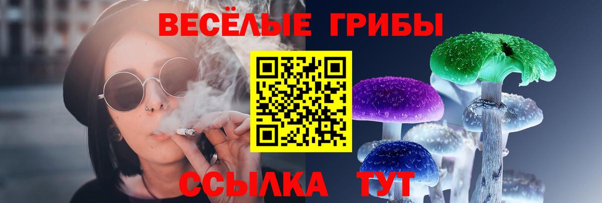 Галлюциногенные грибы MAGIC MUSHROOMS  Вход с VPN  Красногорск 